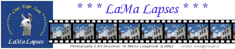 banner LaMa lapses